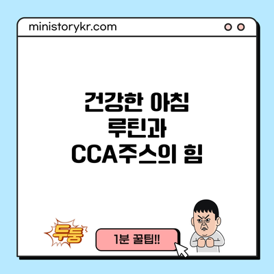 건강한 아침 루틴과 CCA주스의 힘