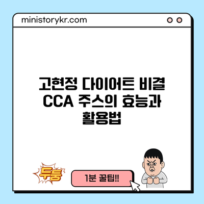 고현정 다이어트 비결: CCA 주스의 효능과 활용법