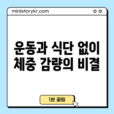 운동과 식단 없이 체중 감량의 비결