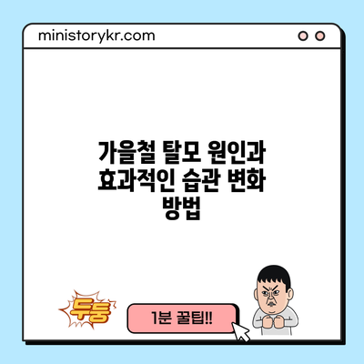 가을철 탈모 원인과 효과적인 습관 변화 방법