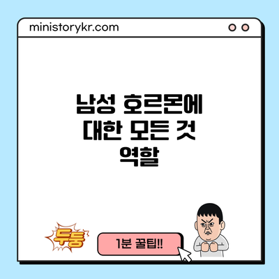 남성 호르몬에 대한 모든 것: 역할