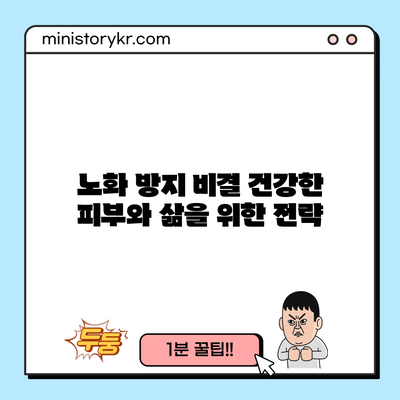 노화 방지 비결: 건강한 피부와 삶을 위한 전략