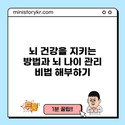 뇌 건강을 지키는 방법과 뇌 나이 관리 비법 해부하기