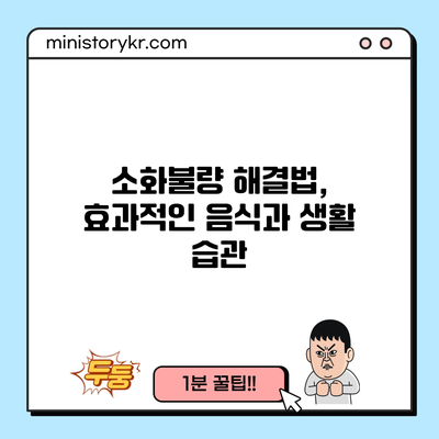 소화불량 해결법, 효과적인 음식과 생활 습관