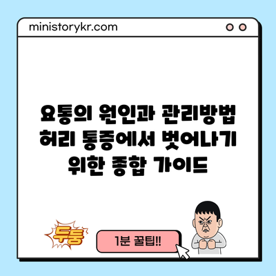 요통의 원인과 관리방법: 허리 통증에서 벗어나기 위한 종합 가이드