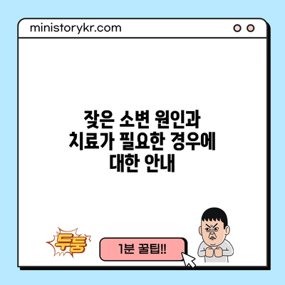 잦은 소변 원인과 치료가 필요한 경우에 대한 안내