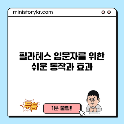 필라테스 입문자를 위한 쉬운 동작과 효과