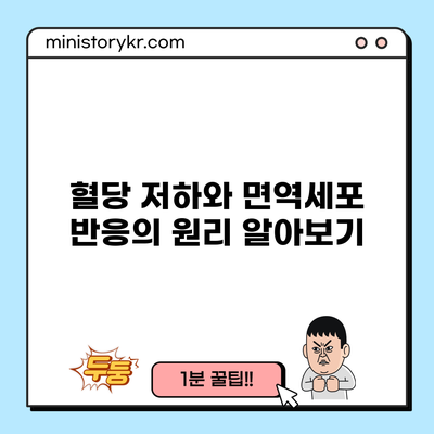 혈당 저하와 면역세포 반응의 원리 알아보기