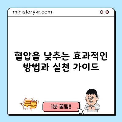 혈압을 낮추는 효과적인 방법과 실천 가이드