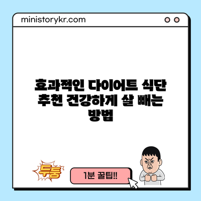 효과적인 다이어트 식단 추천: 건강하게 살 빼는 방법