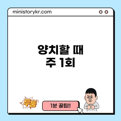 양치할 때 주 1회