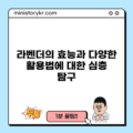 라벤더의 효능과 다양한 활용법에 대한 심층 탐구