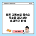 레몬 디톡스로 몸속의 독소를 제거하는 효과적인 방법
