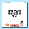마카 뿌리에 대한 모든 것: 효능