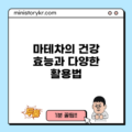마테차의 건강 효능과 다양한 활용법