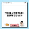 민트의 상쾌함이 주는 힐링과 건강 효과
