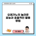 오레가노의 놀라운 효능과 효율적인 활용 방법
