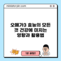 오메가3 효능의 모든 것: 건강에 미치는 영향과 활용법