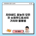 치아씨드 효능의 모든 것: 슈퍼푸드로서의 가치와 활용법