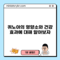 퀴노아의 영양소와 건강 효과에 대해 알아보자