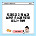 토마토의 건강 효과: 놀라운 효능과 건강에 미치는 영향