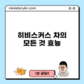 히비스커스 차의 모든 것: 효능