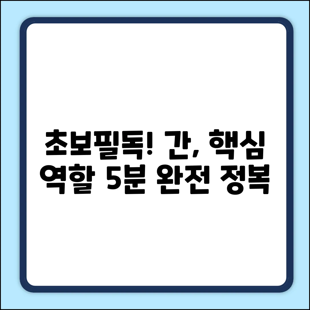 초보자를 위한 간의 주요 역할 쉽게 이해!