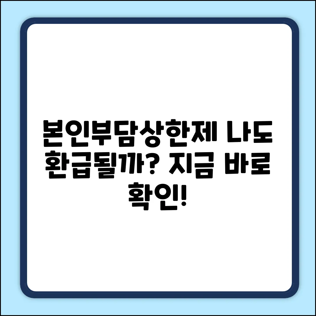 본인부담상한제, 나도 환급받을 수 있을까?