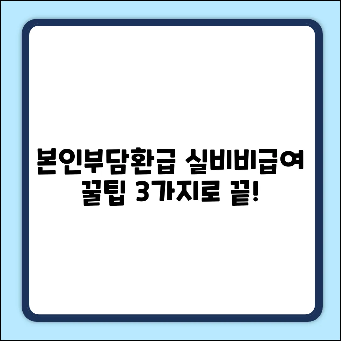 본인부담상한제 실비, 비급여 환급 3가지 꿀팁