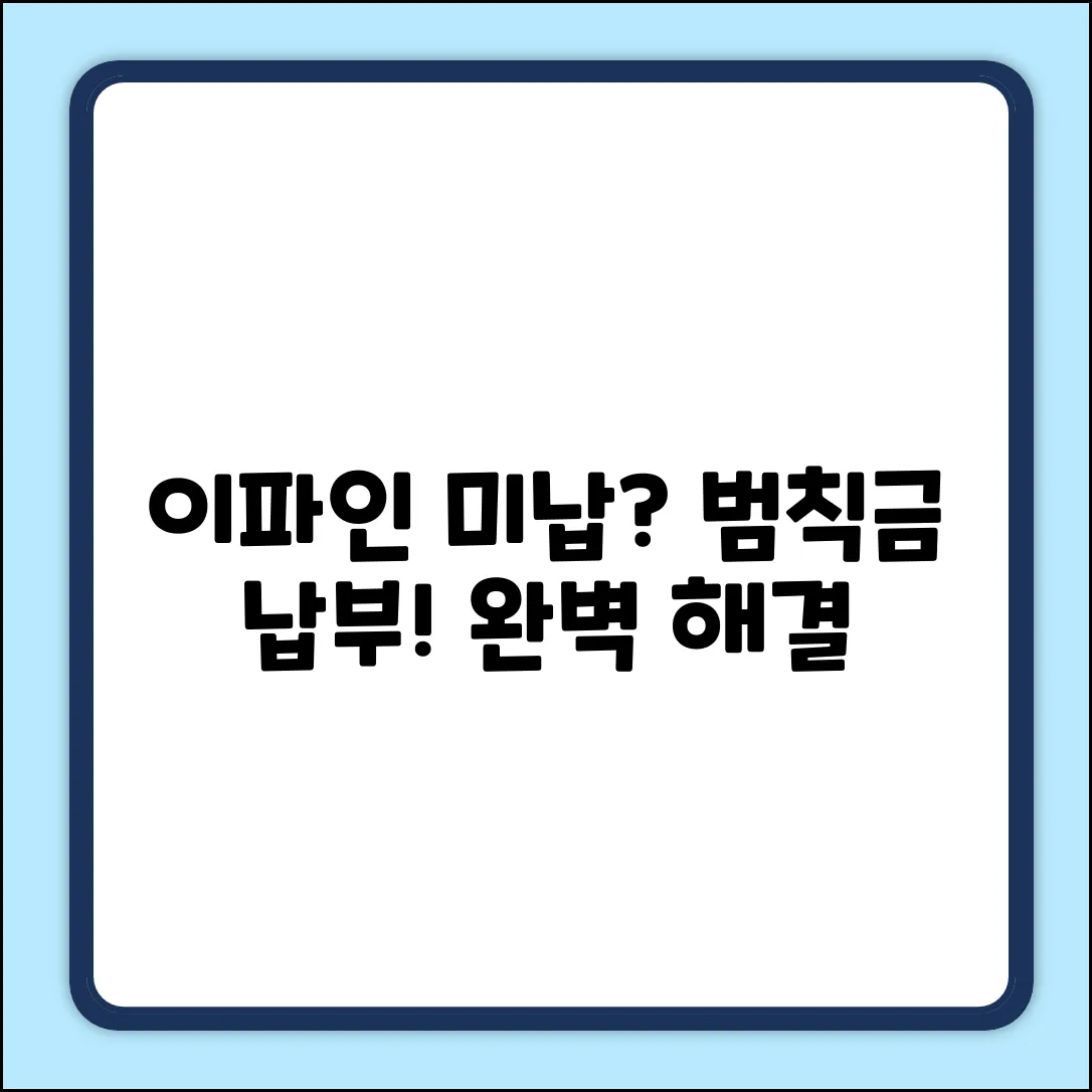 이파인 미납 범칙금 납부 완벽 가이드