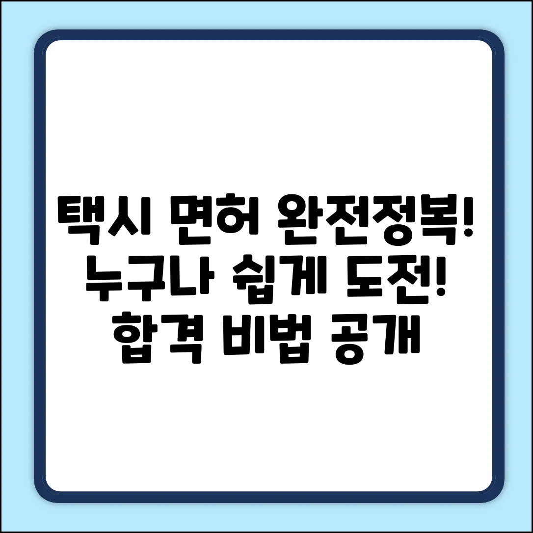 택시 운전 면허, 누구나 쉽게! 종류 완벽 정리