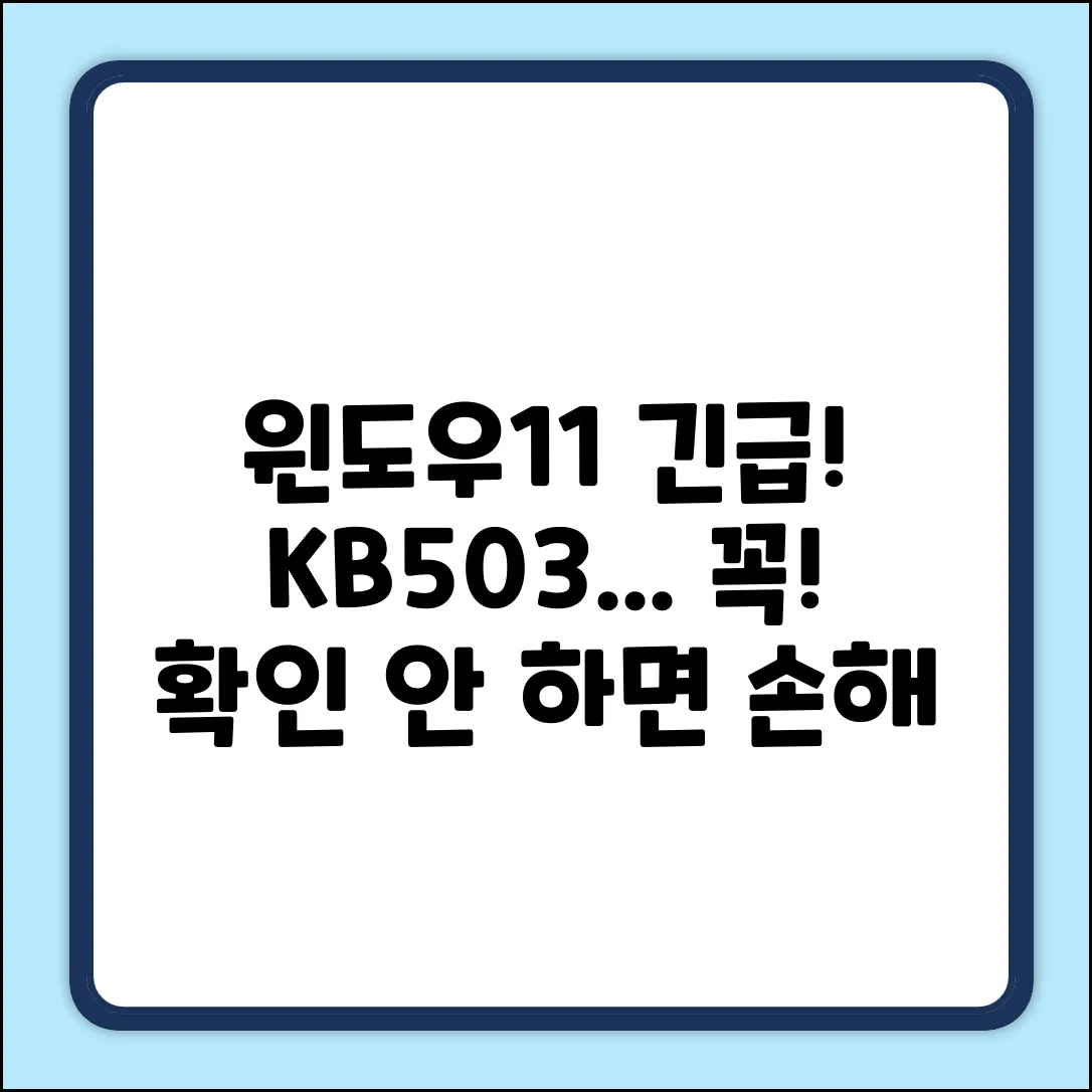 윈도우11 KB503… 업데이트, 꼭 확인!