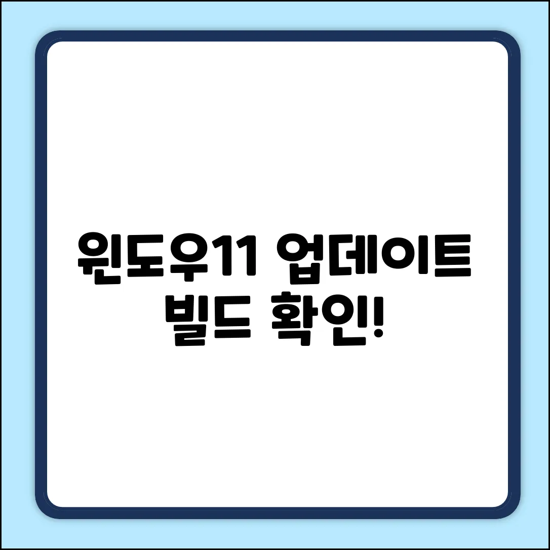 윈도우11 업데이트, 빌드 번호 확인 필수?