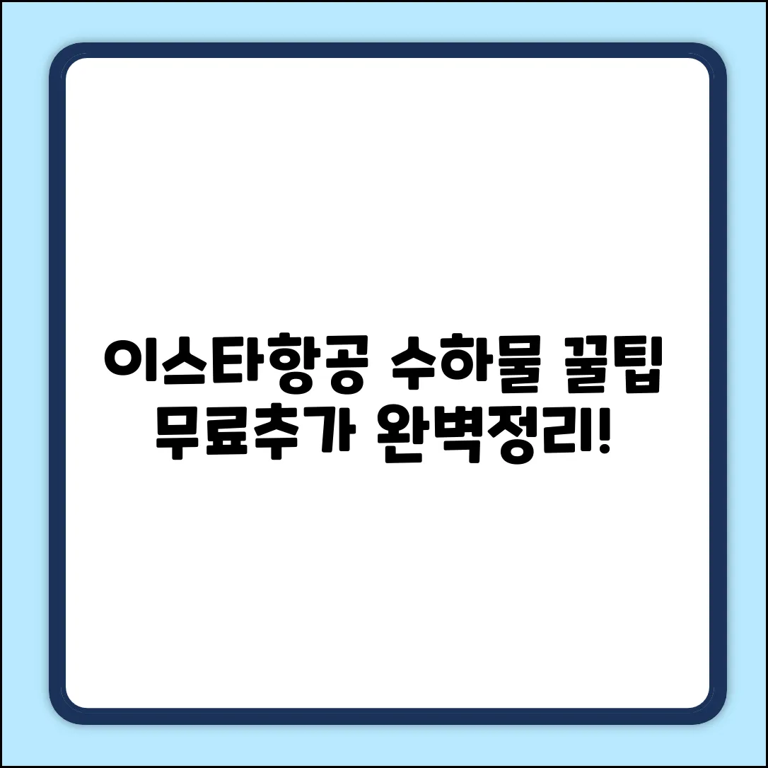 이스타항공 수하물 규정, 꿀팁 대방출!