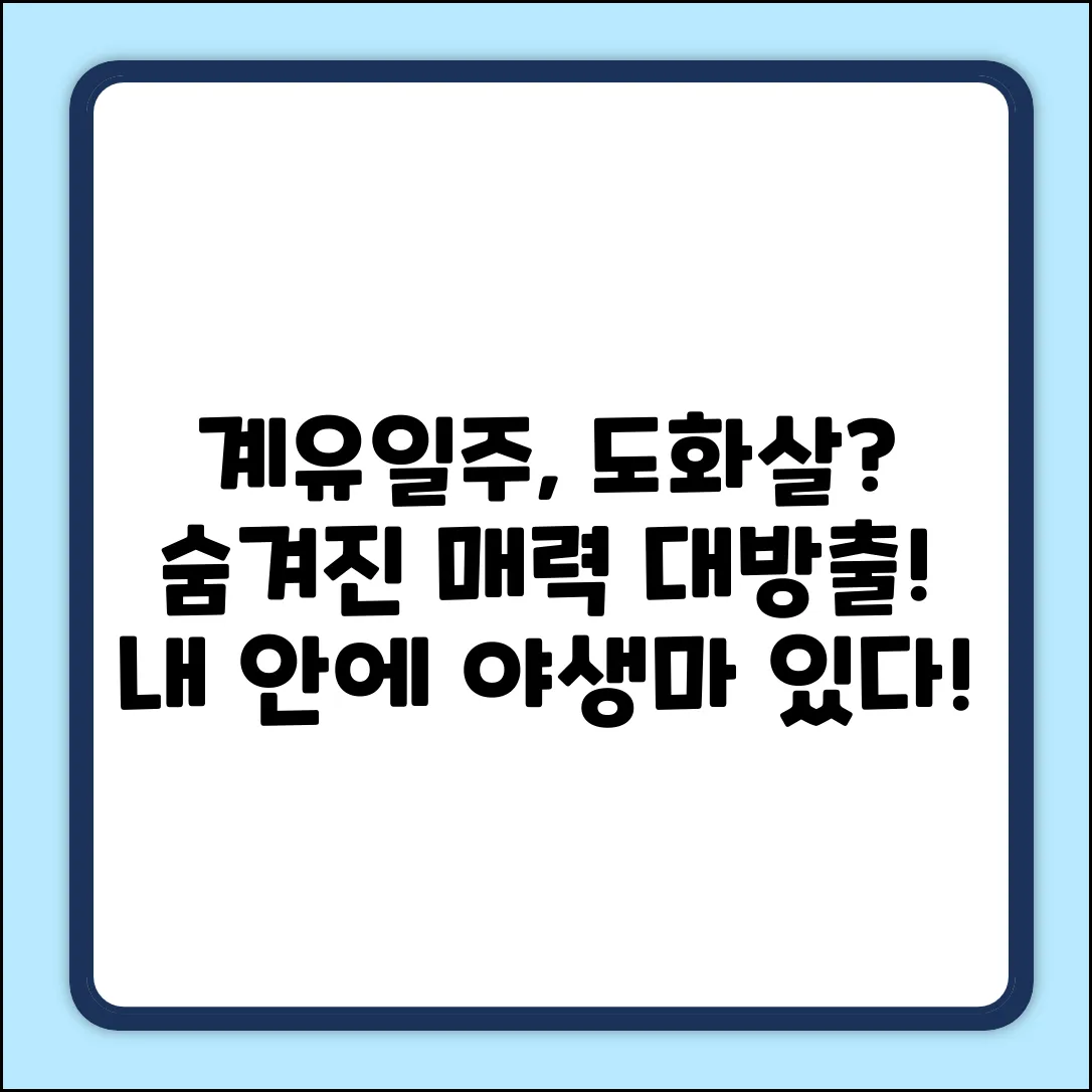 계유일주는 어떤 도화살을 품고 있을까?