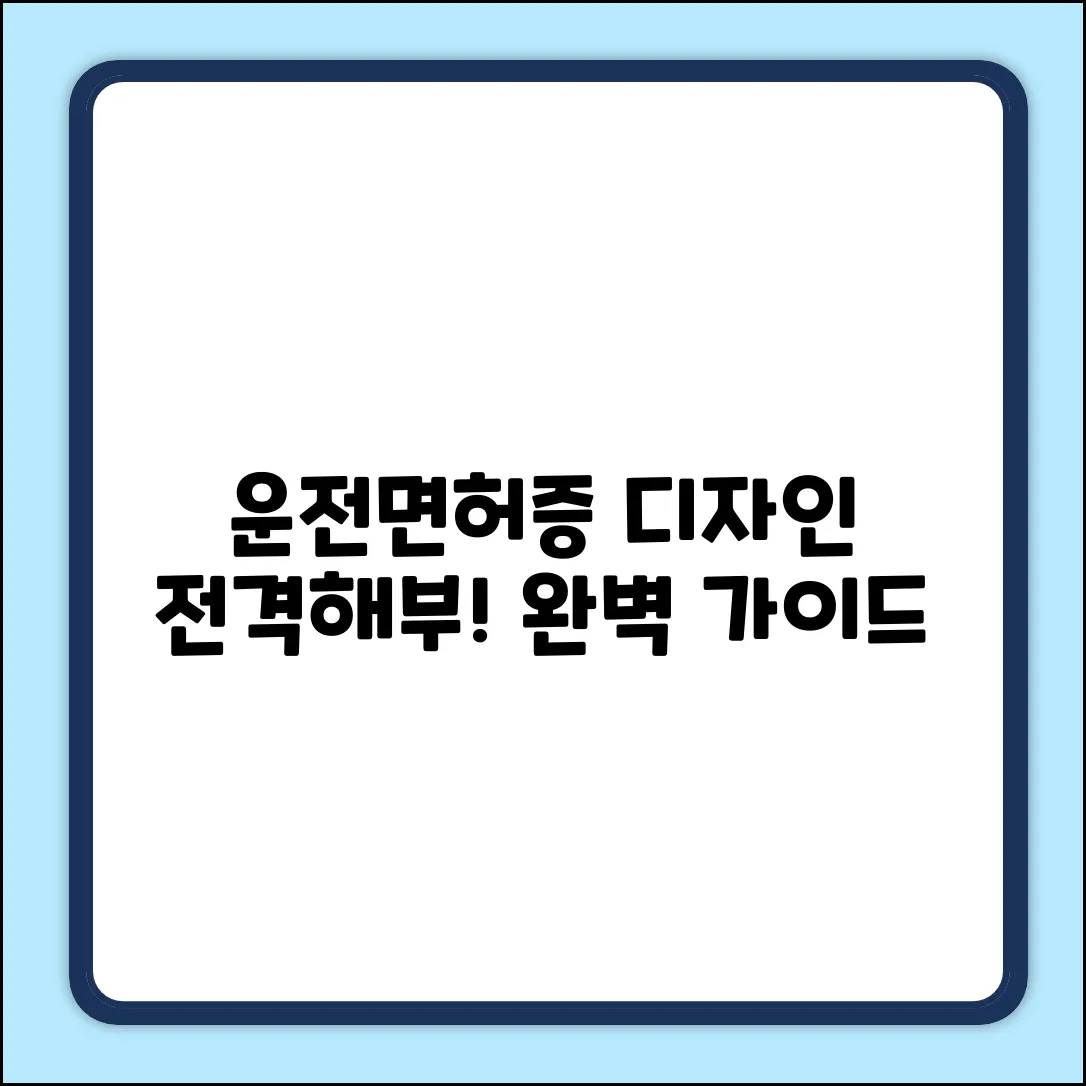 새 디자인! 국내 운전면허증 완벽 가이드