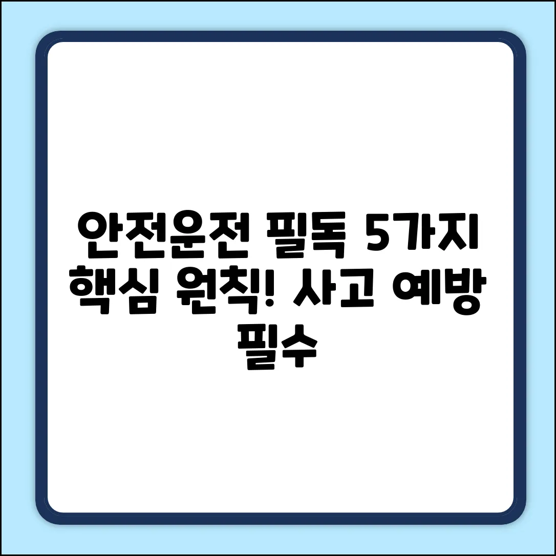 안전운전 필수 5가지 원칙, 확인!