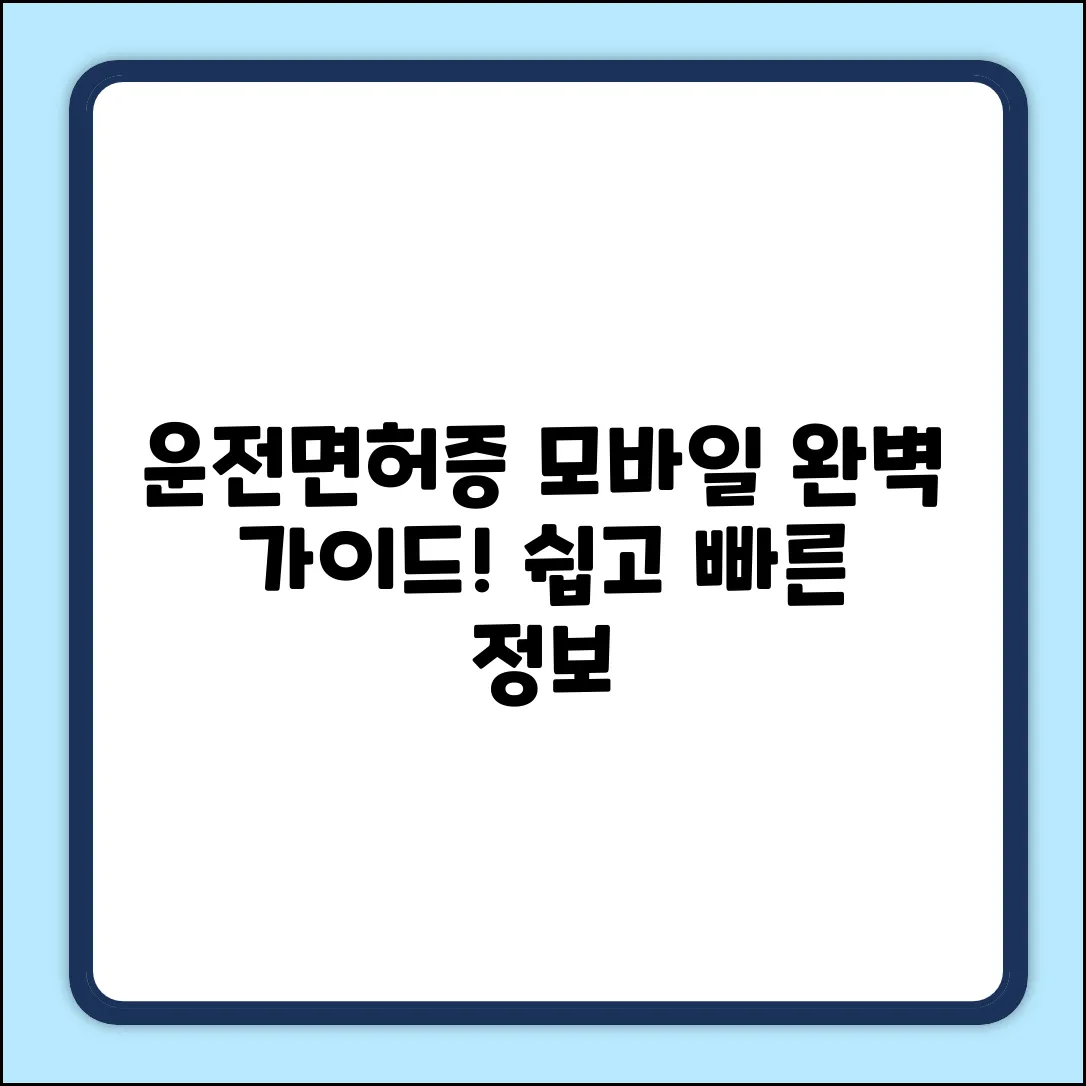 모바일 운전면허증 정보 완벽 가이드