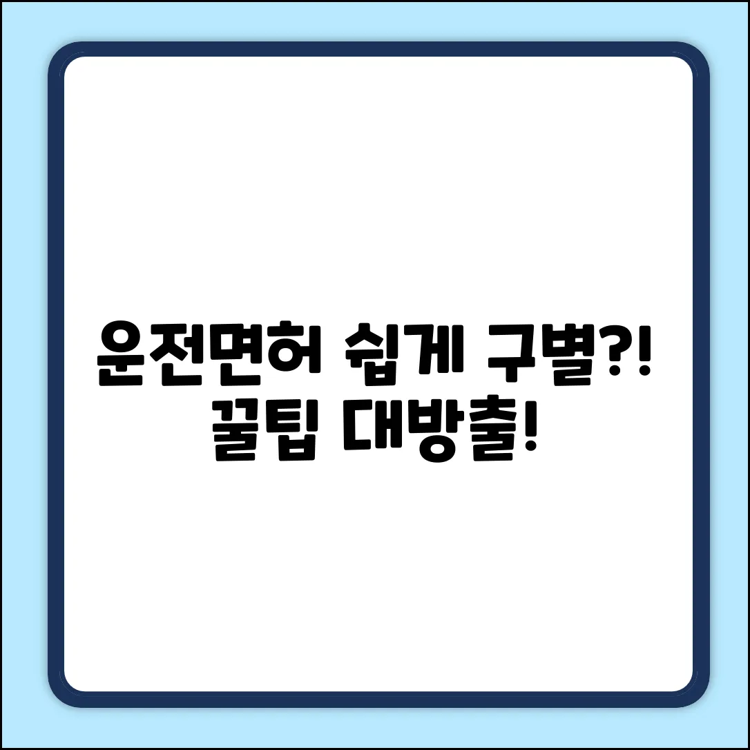 운전면허증 쉽게 구별하는 법?