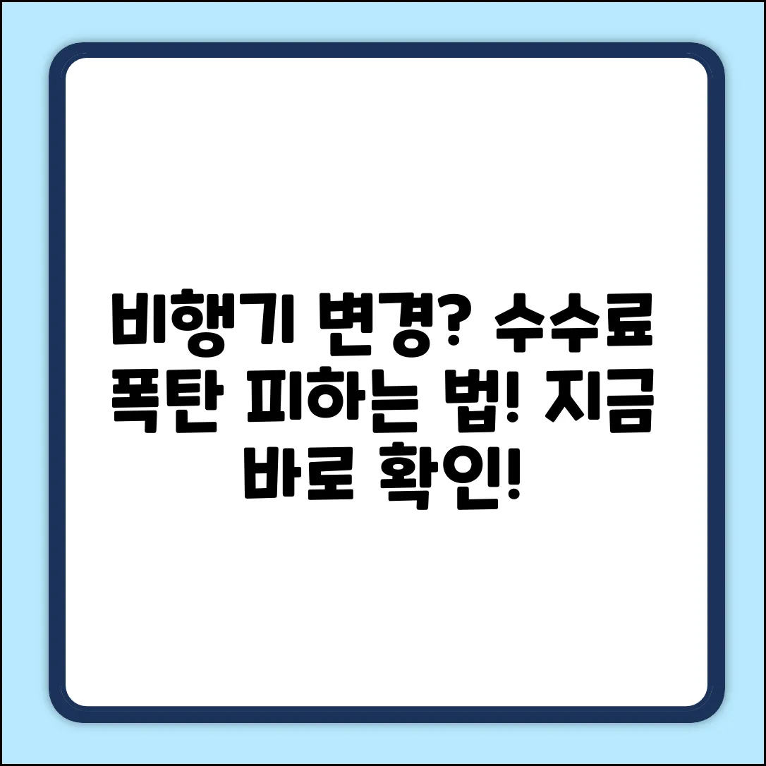 비행기표 예매 변경, 수수료 폭탄 피하는 법은?