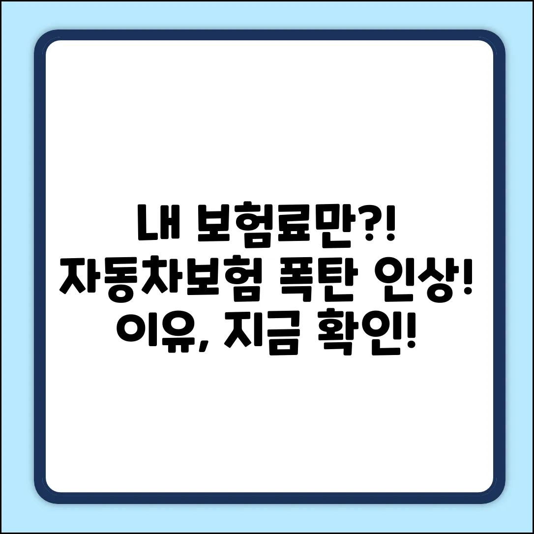 🚨 자동차보험 인상, 왜 나만 오르는거야?!