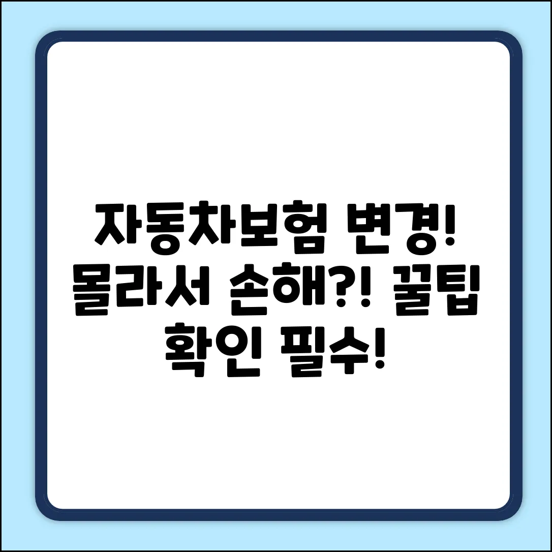 자동차보험 개정, 알아두면 돈 버는 꿀팁!