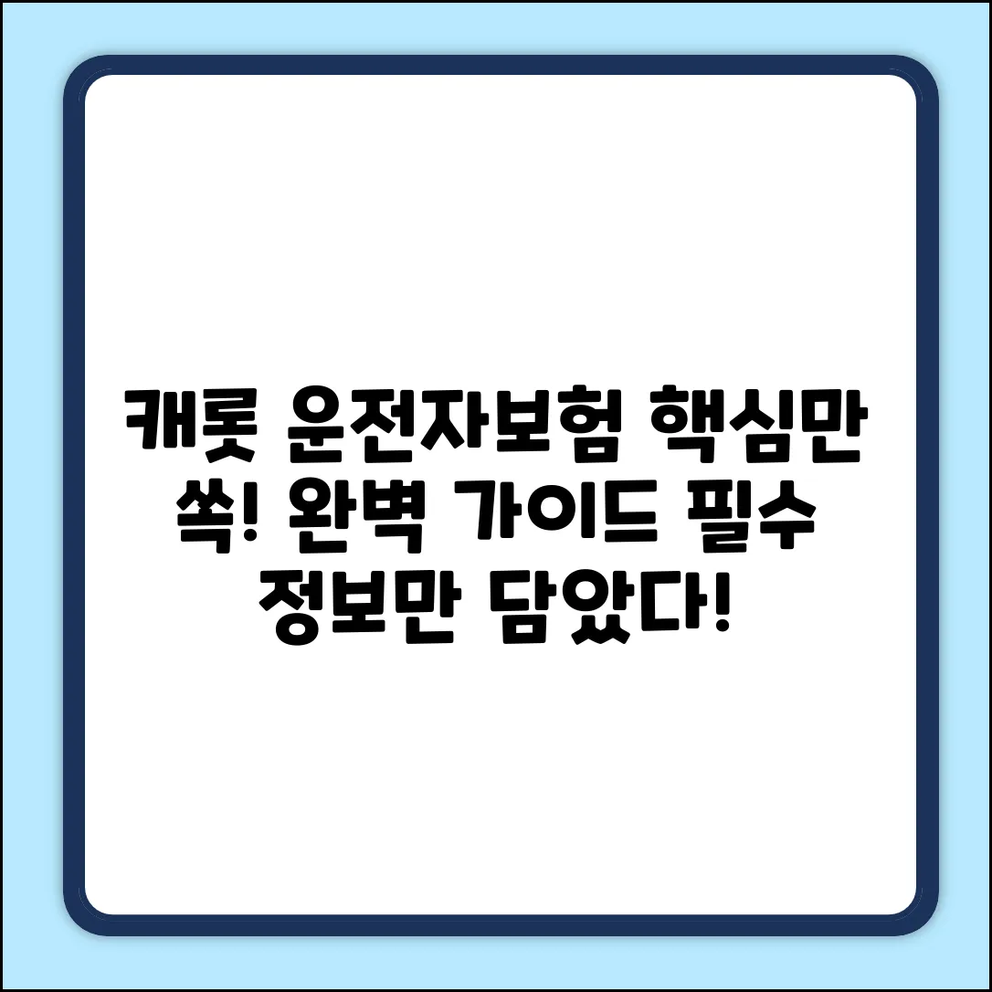 캐롯 운전자보험 완벽 가이드: 핵심만 쏙!